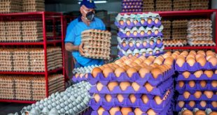 SE NECESITA PERSONAL C/S EXPERIENCIA PARA EMPACAR HUEVOS |