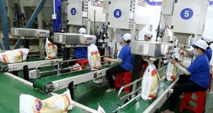 24 VACANTES PARA EMPACADORES DE DIVERSOS PRODUCTOS | POSTULA